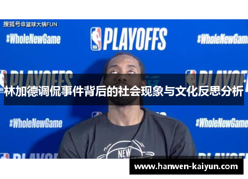 林加德调侃事件背后的社会现象与文化反思分析