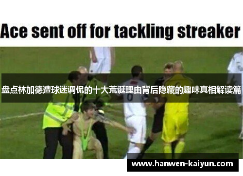 盘点林加德遭球迷调侃的十大荒诞理由背后隐藏的趣味真相解读篇