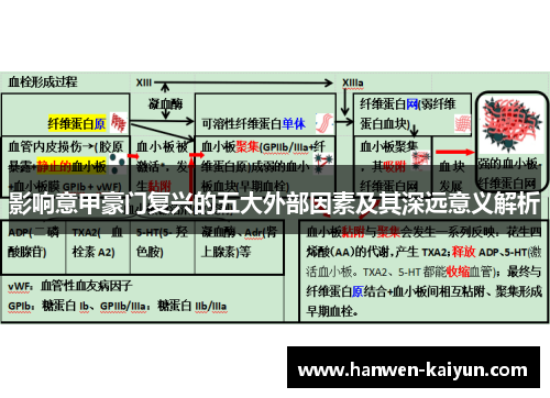 影响意甲豪门复兴的五大外部因素及其深远意义解析 影响意甲豪门复兴的五大外部因素及其深远意义解析