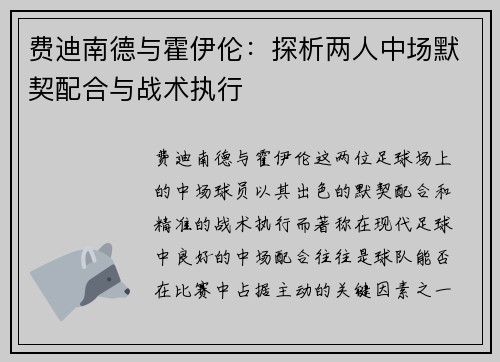 费迪南德与霍伊伦：探析两人中场默契配合与战术执行